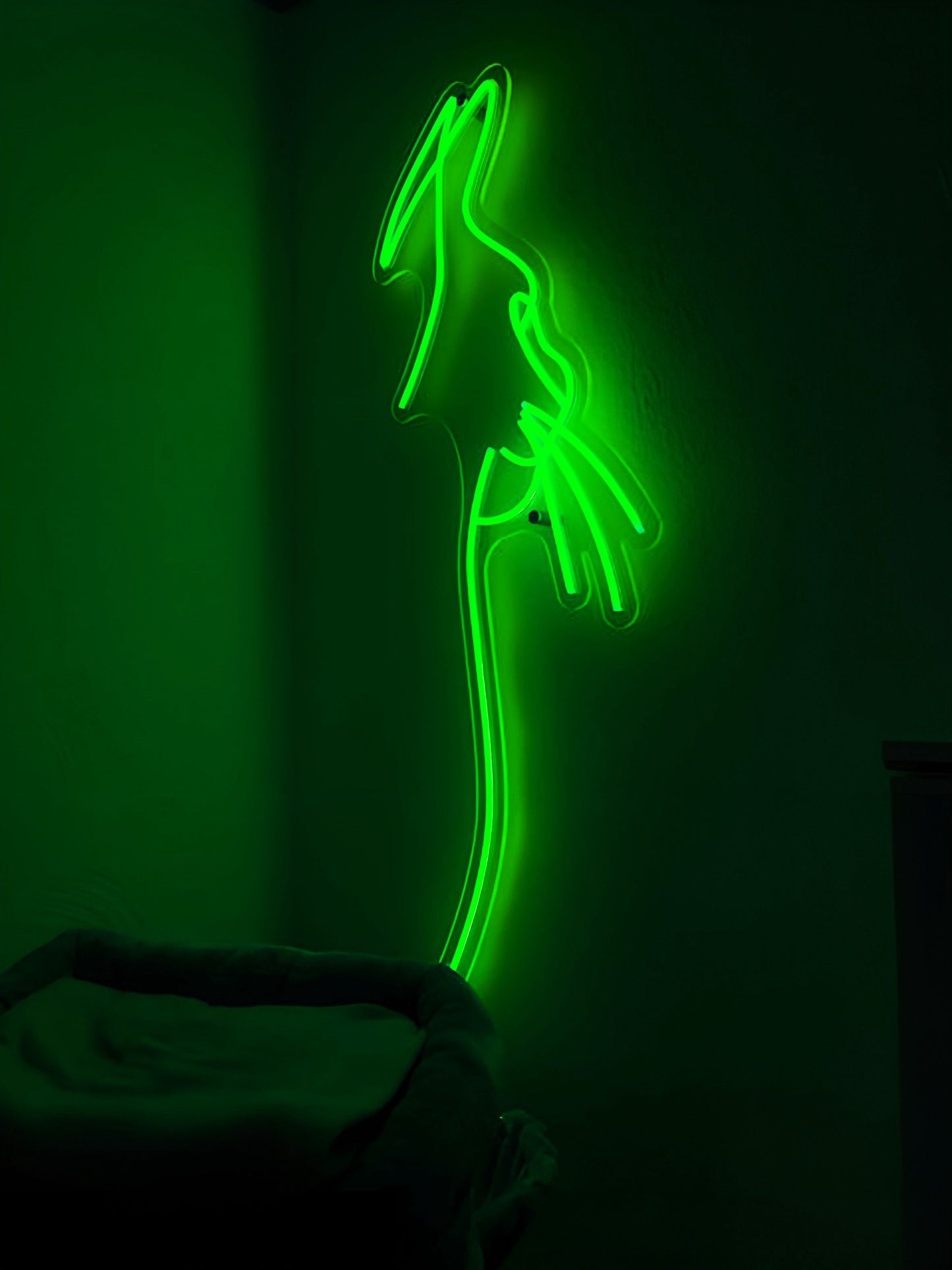 Katze Neon