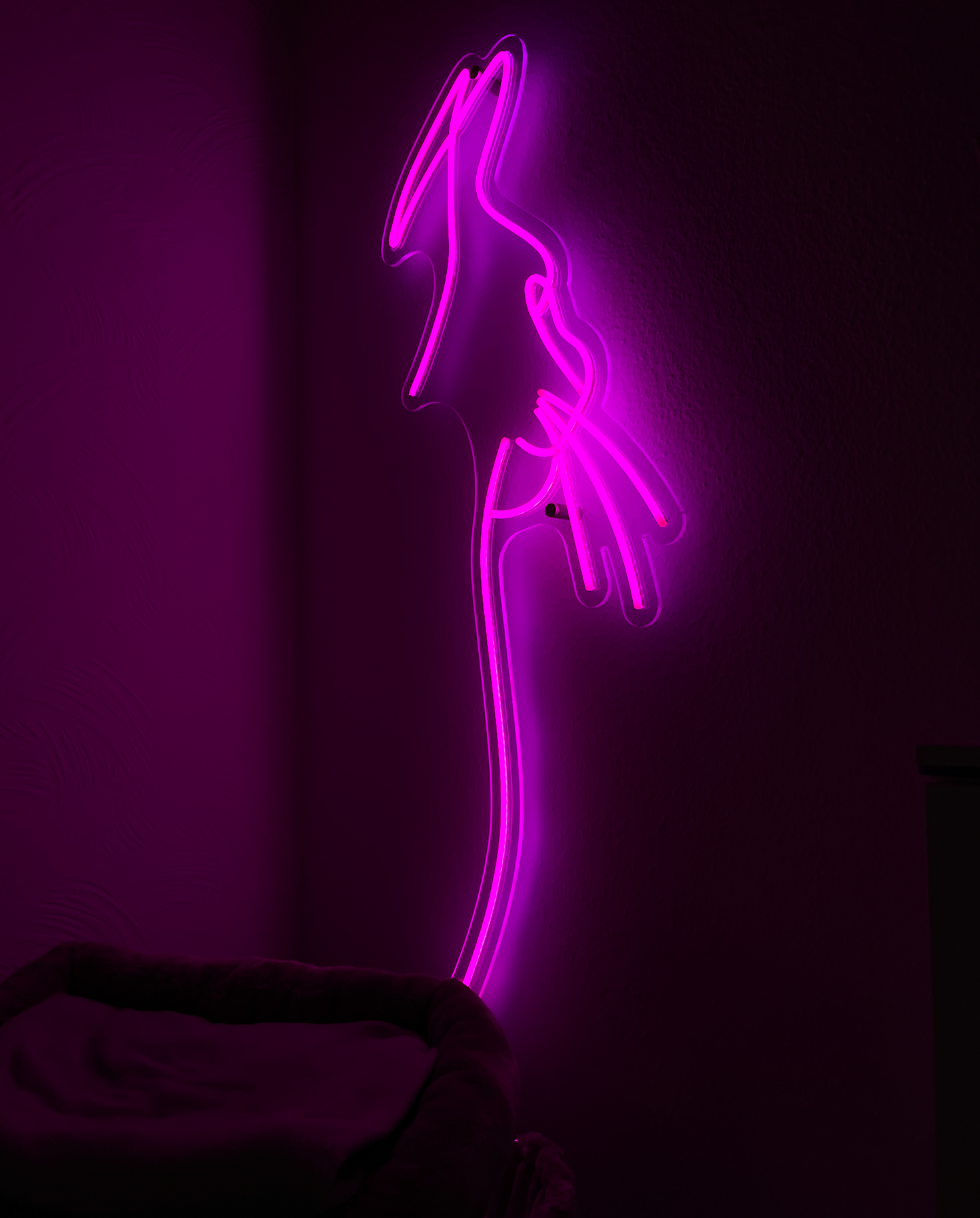 Katze Neon