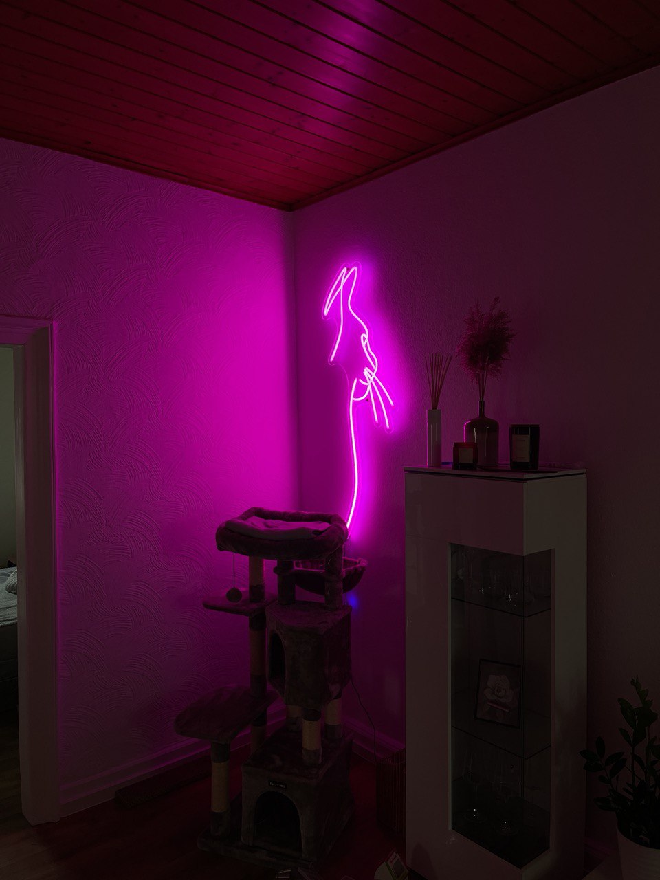 Katze Neon