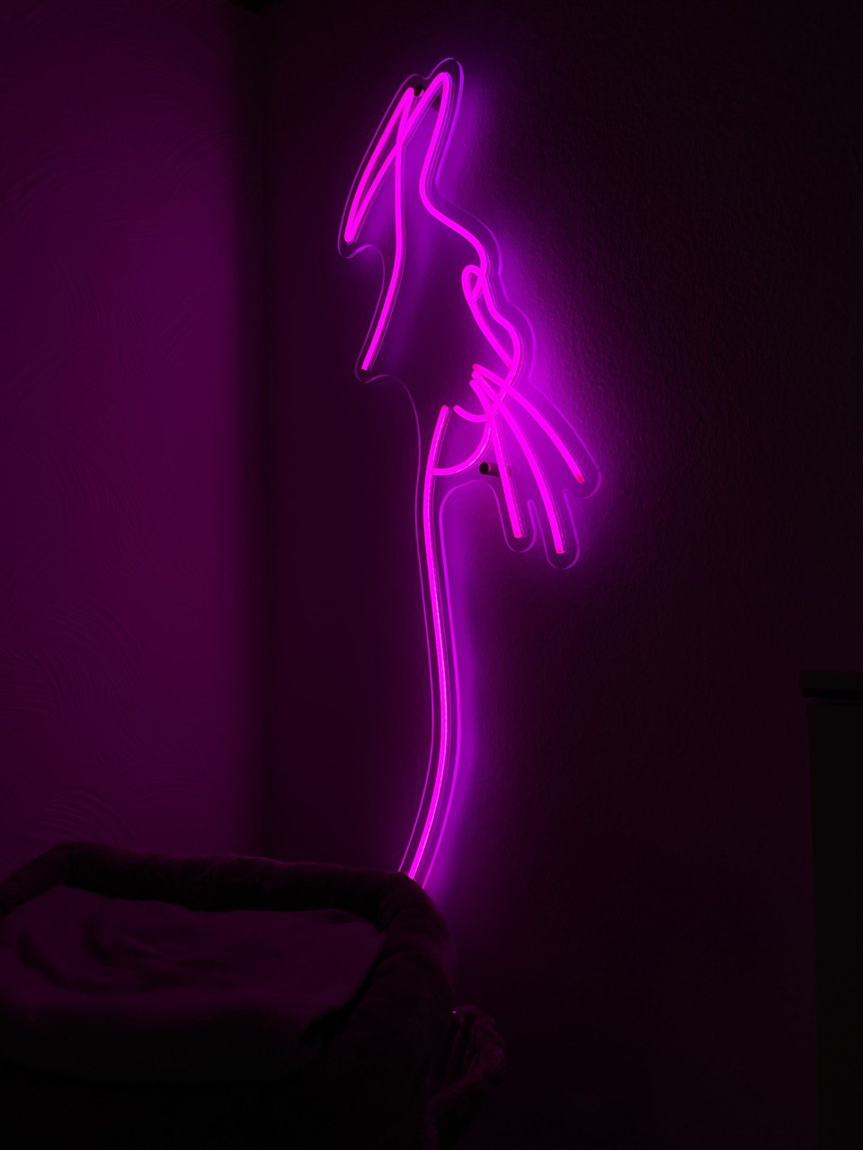 Katze Neon