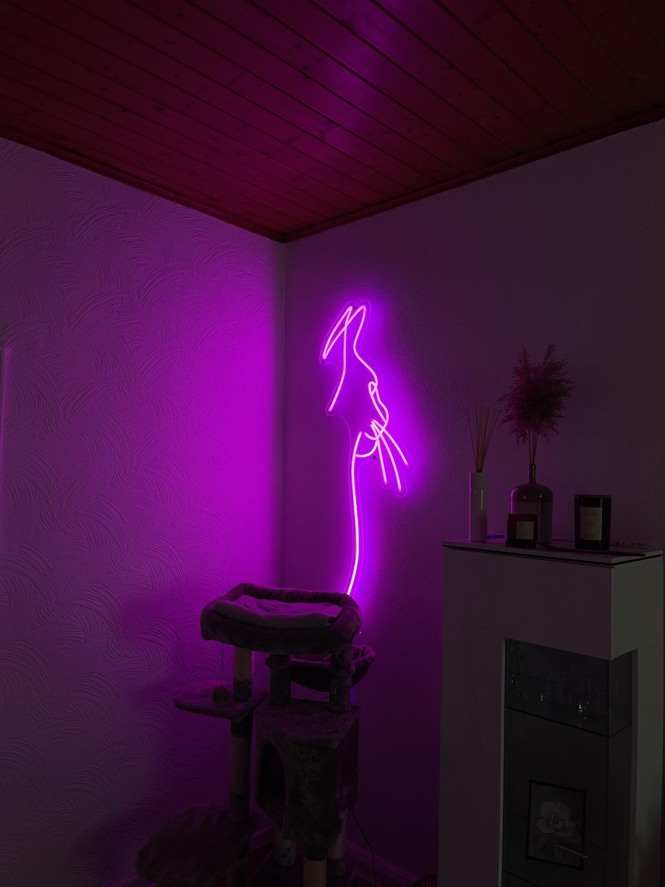 Katze Neon