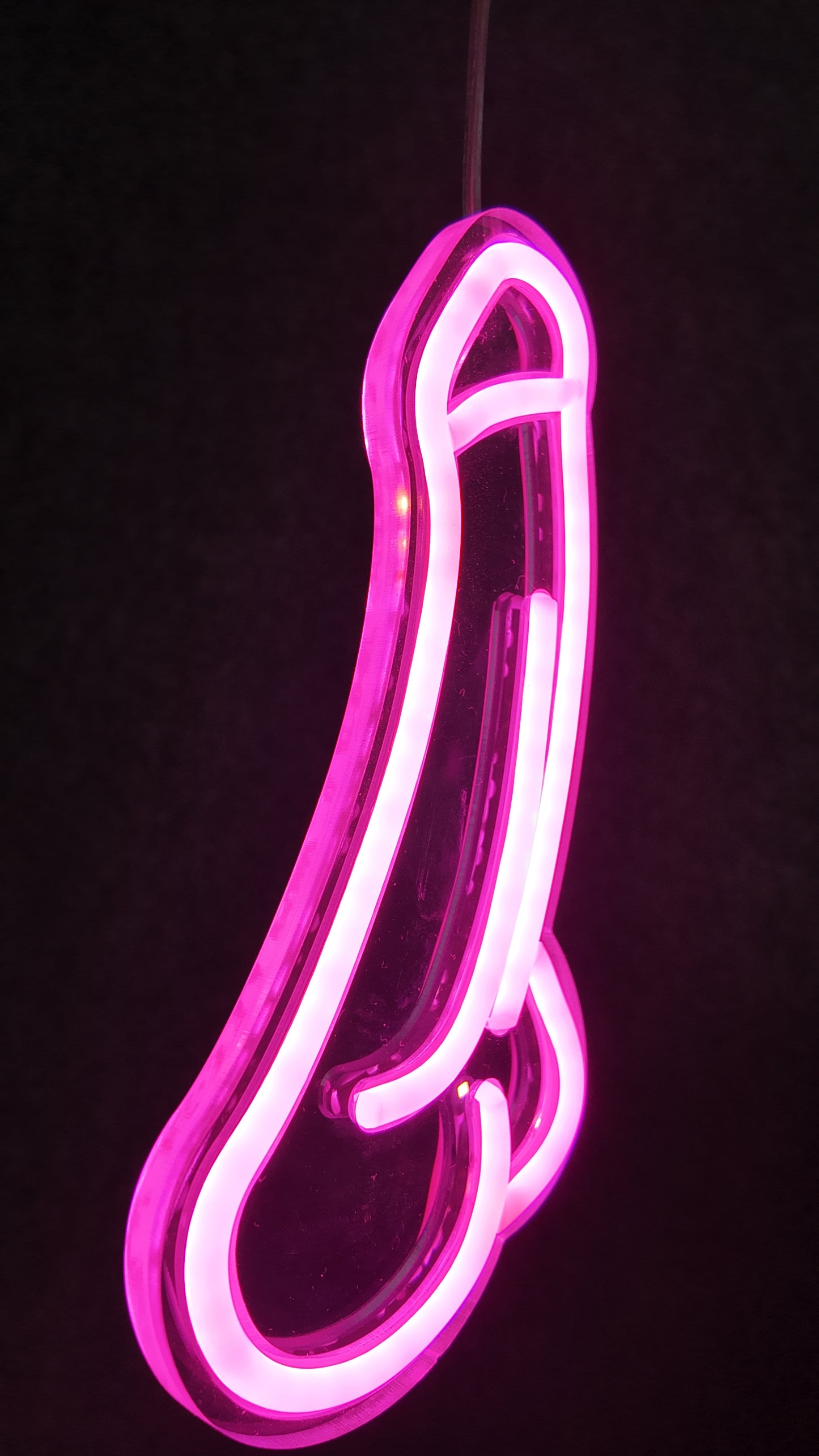 Neon Penis