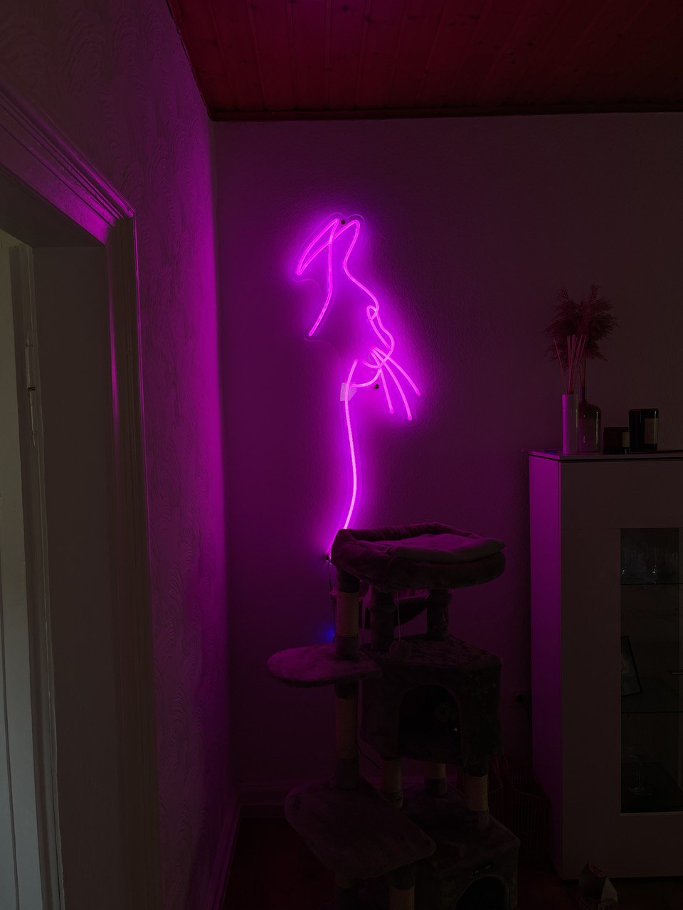 Katze Neon