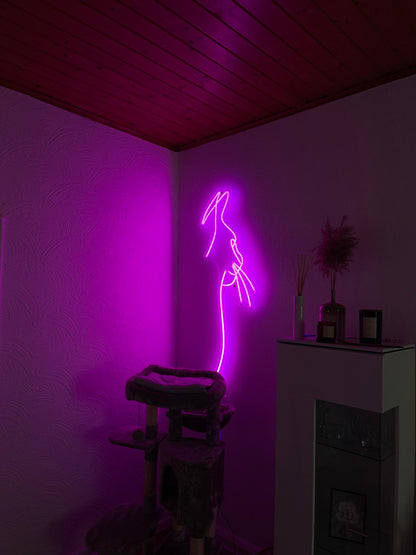 Katze Neon